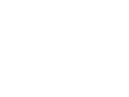 Working Class logo top